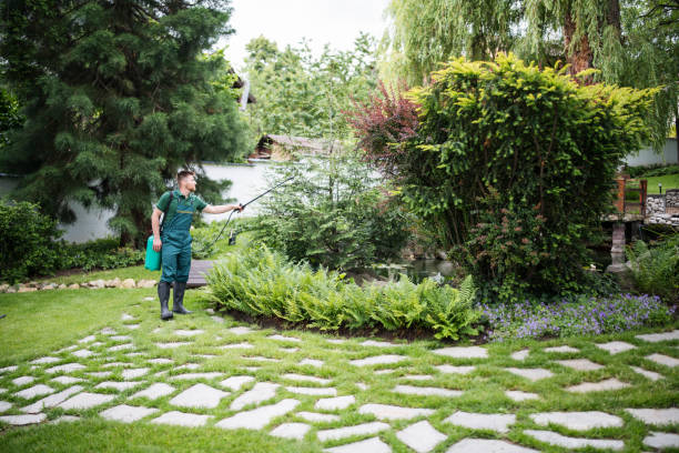 Best Best Pest Control Companies  in Blue Ridge, VA