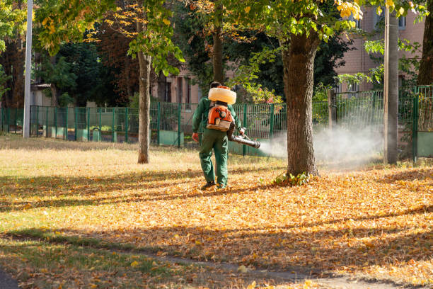 Best Spider Control Near Me  in Blue Ridge, VA